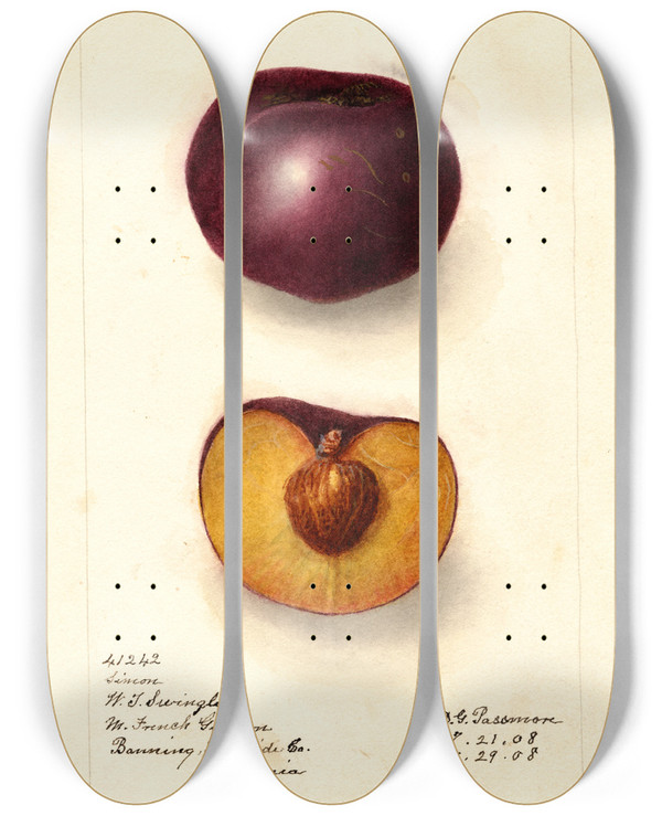 Triptych art skateboard deck of Deborah Griscom Passmore Prunus Domestica Simon by Deborah Griscom Passmore (1840-1911)