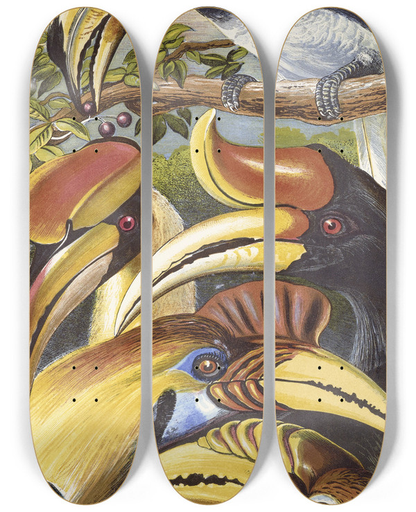 Triptych art skateboard deck of Thomas Waterman Wood Hornbills by Thomas Waterman Wood (1823-1903)