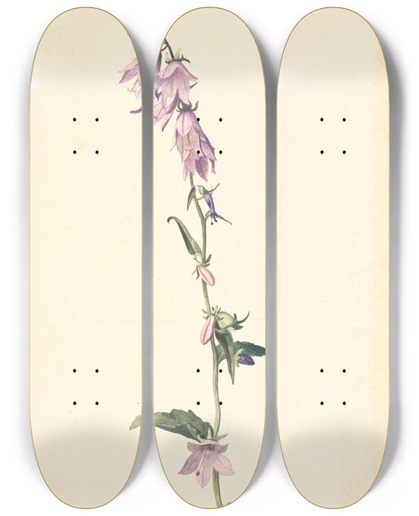 Triptych art skateboard deck of Christen Dalsgaard Campanula by Christen Dalsgaard (1824-1907)