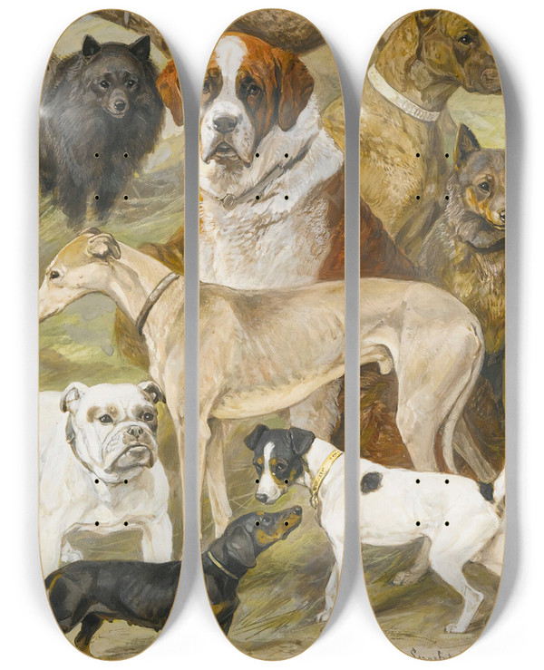 Triptych art skateboard deck of August Specht Dog Studies by August Specht (1849-1923)
