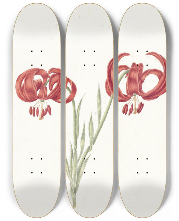 Triptych art skateboard deck of Catharina Lintheimer Rode Lelie by Catharina Lintheimer (1714-1741)