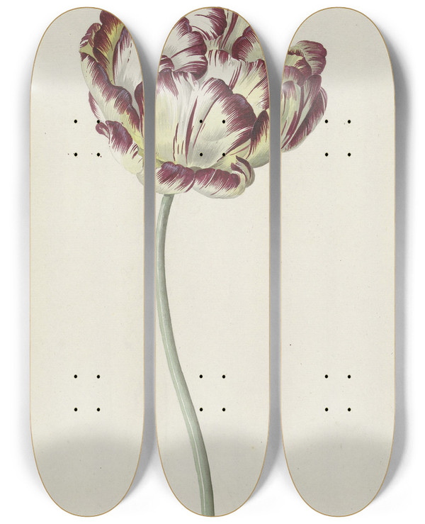 Triptych art skateboard deck of Louis Moritz Tulp by Louis Moritz (1773-1850)