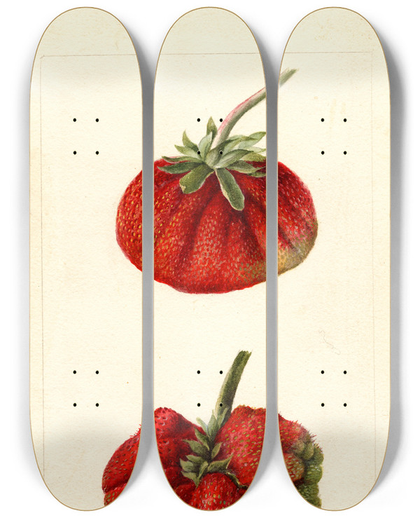 Triptych art skateboard deck of Deborah Griscom Passmore Fragaria Dew by Deborah Griscom Passmore (1840-1911)