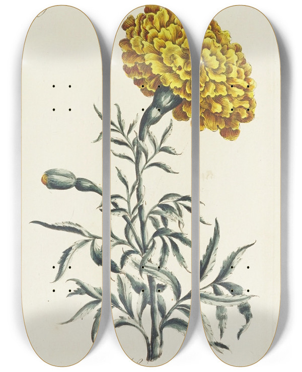 Triptych art skateboard deck of Carington Bowles African by Carington Bowles (1724-1793)