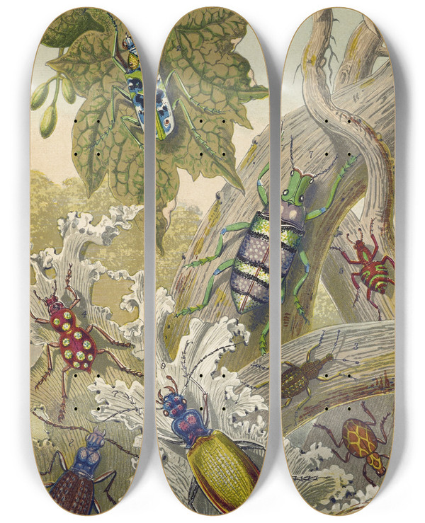 Triptych art skateboard deck of Barret And Sons British Bees And Their Foreign Relatives by Barret And Sons (19-)