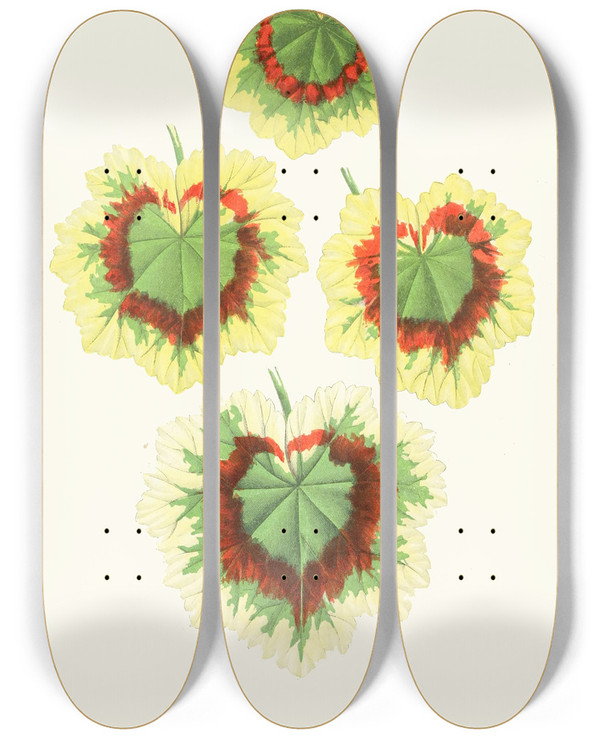 Triptych art skateboard deck of Edward Joseph Lowe Pelargomium Zonale by Edward Joseph Lowe (1825-1900)