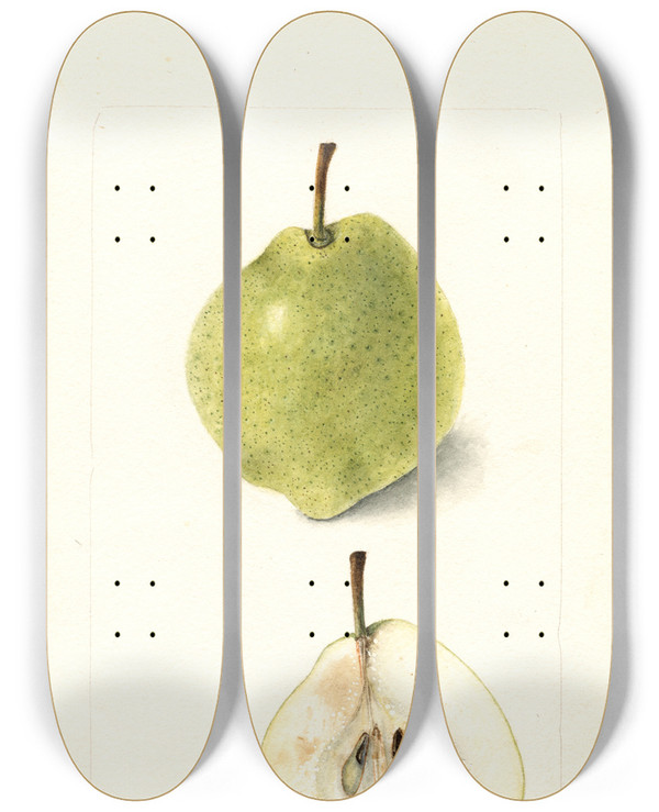Triptych art skateboard deck of Bertha Heiges Pyrus Communis Wiest by Bertha Heiges (1866-1956)