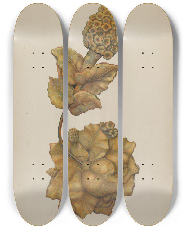 Triptych art skateboard deck of Harry Jennings Tieback_3 by Harry Jennings