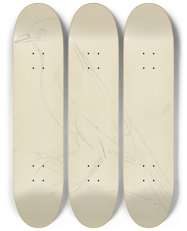 Triptych art skateboard deck of James Sowerby A Fieldfare by James Sowerby (1757-1822)