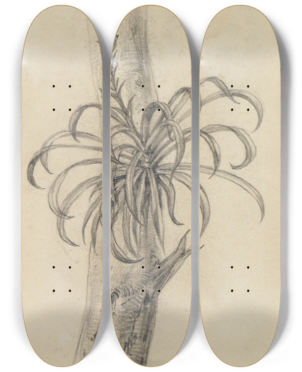 Triptych art skateboard deck of Ferdinand Keller Pflanzenstudie Am Ast Ii by Ferdinand Keller (1842-1922)