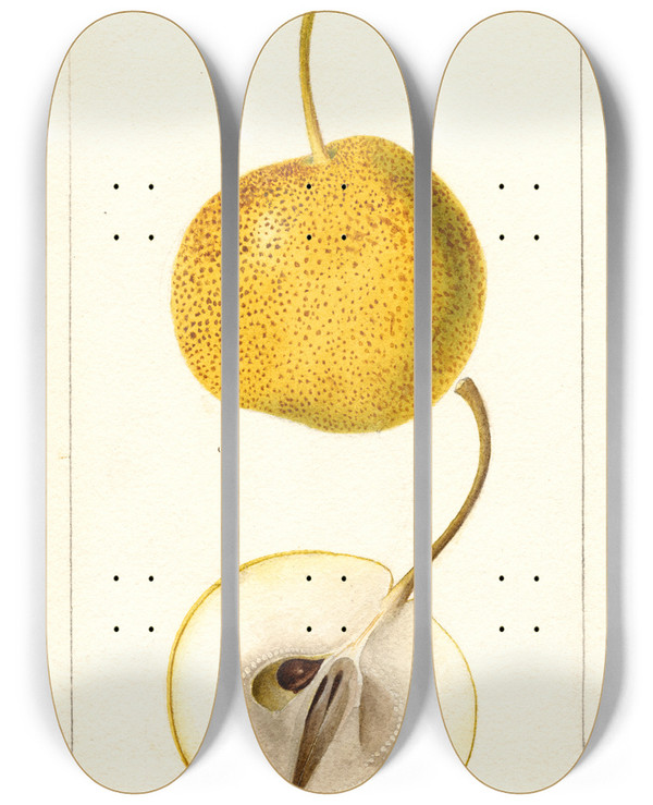 Triptych art skateboard deck of Deborah Griscom Passmore Pyrus Communis Mikado by Deborah Griscom Passmore (1840-1911)