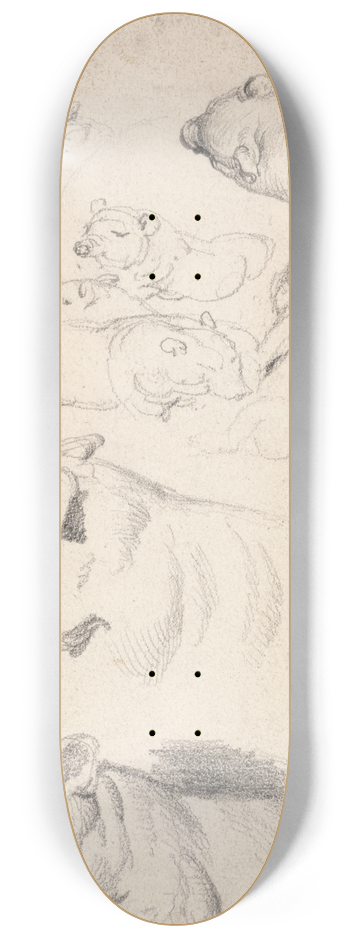 James Ward - Studies of Pigs 8.25 inch art skate deck