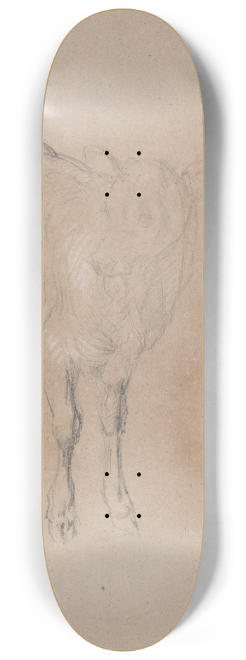 James Ward - Study of a Calf 8.25 inch art skate deck