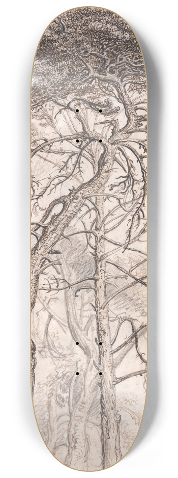 James Ward - Study of Trees 8.25 inch art skate deck