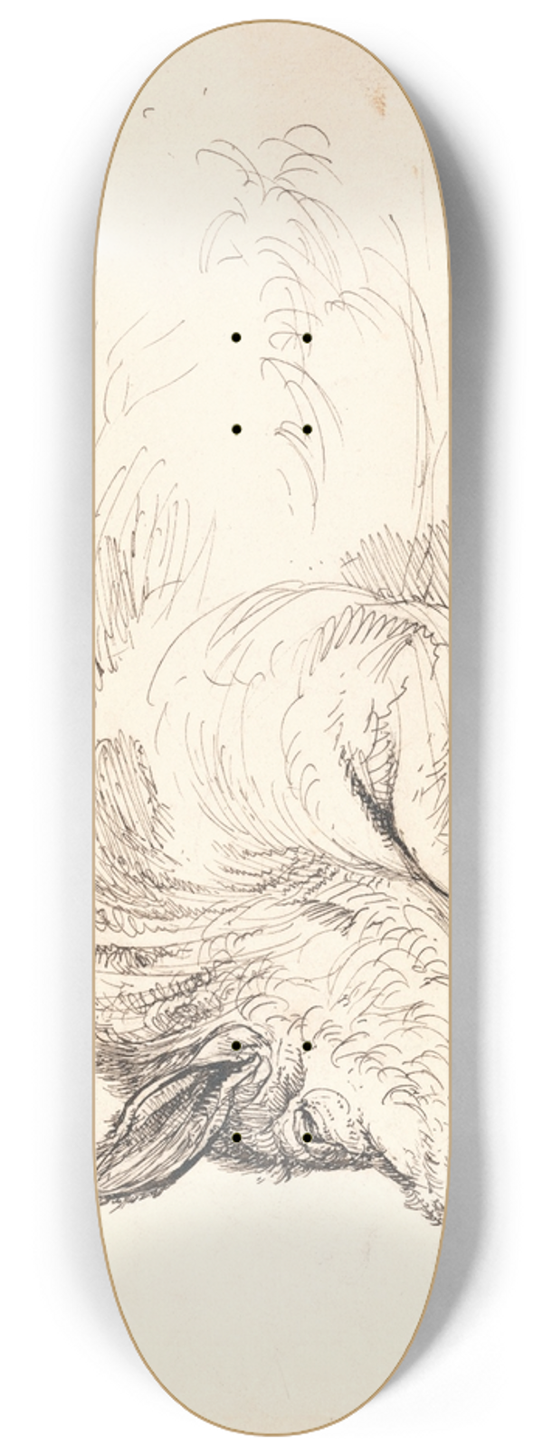 James Ward - Wild Boar 8.25 inch art skate deck
