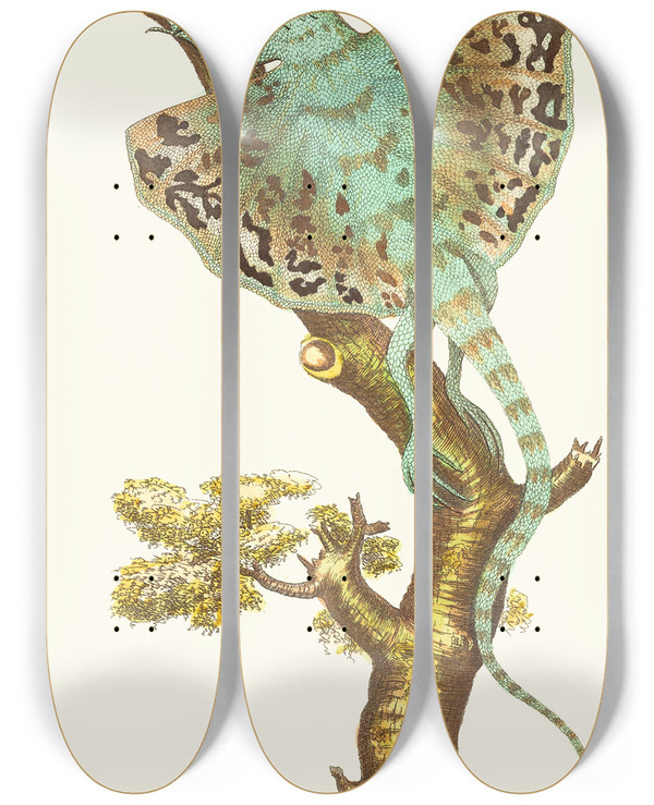 Triptych art skateboard deck of George Shaw The Flying Dragon by George Shaw (1751-1813)