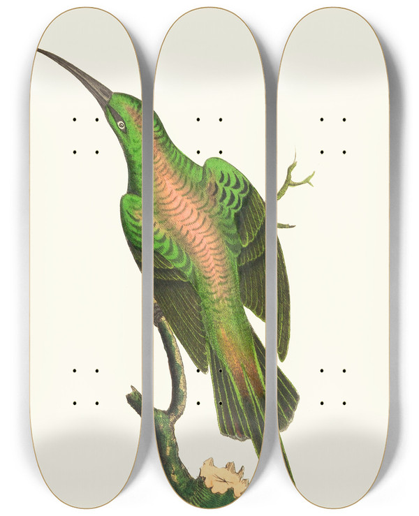 Triptych art skateboard deck of George Shaw The Shining Creeper by George Shaw (1751-1813)