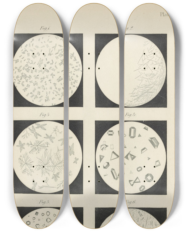 Triptych art skateboard deck of Theodore George Wormley Microchemistry Of Poisons Pl04 by Theodore George Wormley (1826-1897)