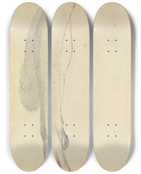 Triptych art skateboard deck of Benjamin Robert Haydon Anatomical Study Of A Leg by Benjamin Robert Haydon (1786-1846)