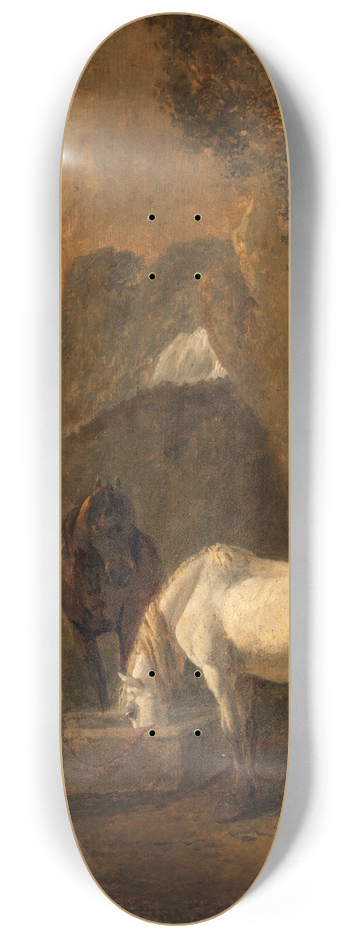 Jan Both - A Horse Drinking 8.25 inch art skate deck