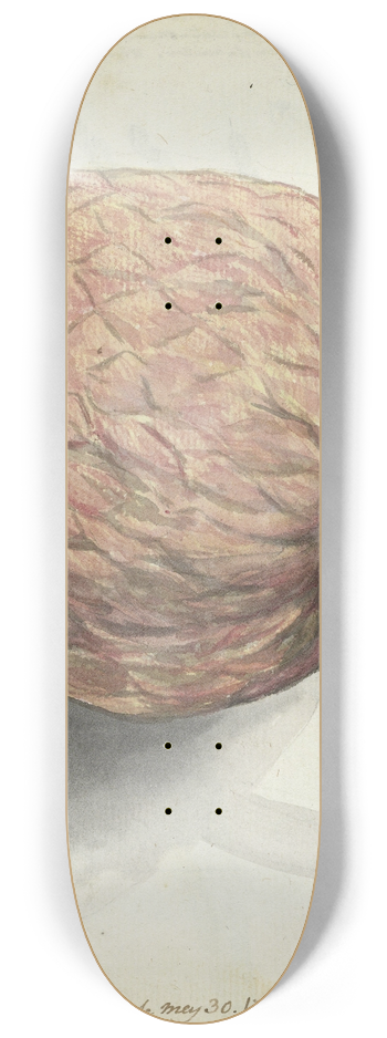 Jan Brandes - Boanonna of wilde serikaja 8.25 inch art skate deck