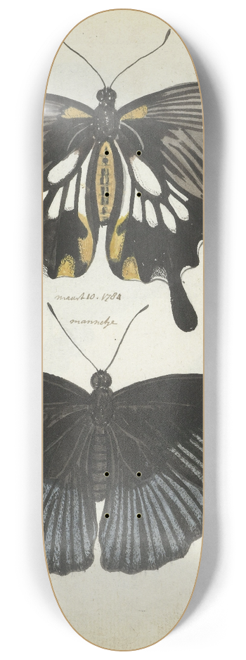 Jan Brandes - Indische vlinders 8.25 inch art skate deck