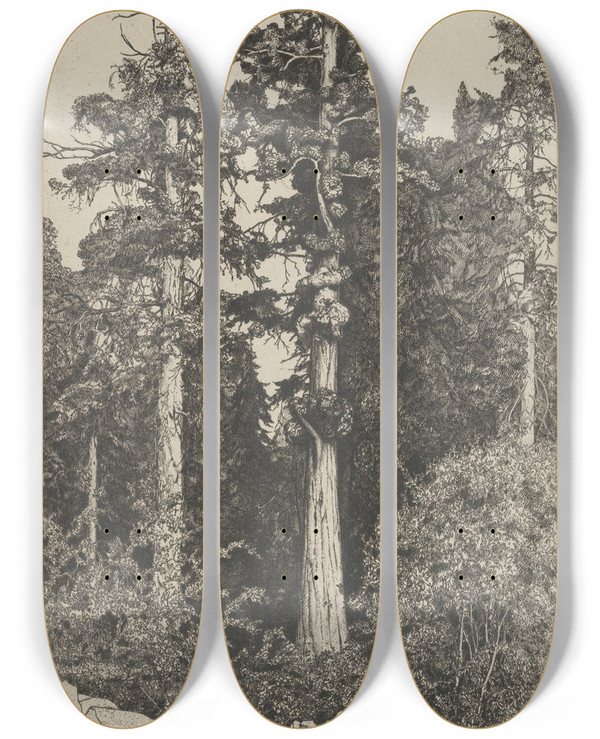 Triptych art skateboard deck of Ernest Haskell Baby Sequoia by Ernest Haskell (1876-1925)