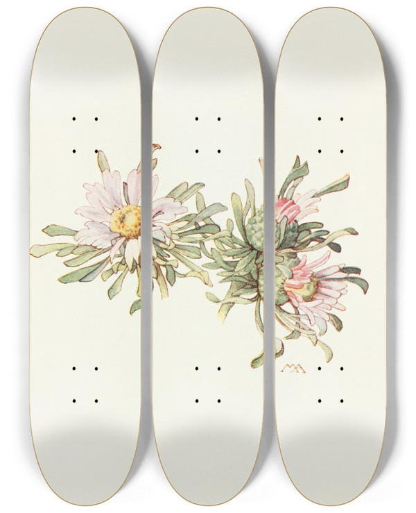Triptych art skateboard deck of Margaret Armstrong Easter Daisy by Margaret Armstrong (1867-1944)