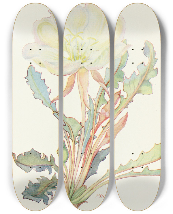 Triptych art skateboard deck of Margaret Armstrong White Evening Primrose by Margaret Armstrong (1867-1944)