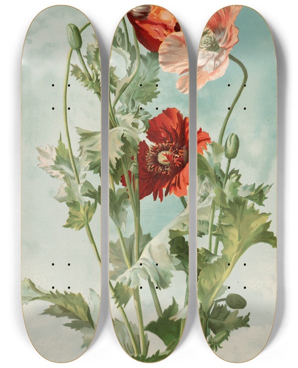 Triptych art skateboard deck of Thaddeus Welch Poppies by Thaddeus Welch (1844-1919)