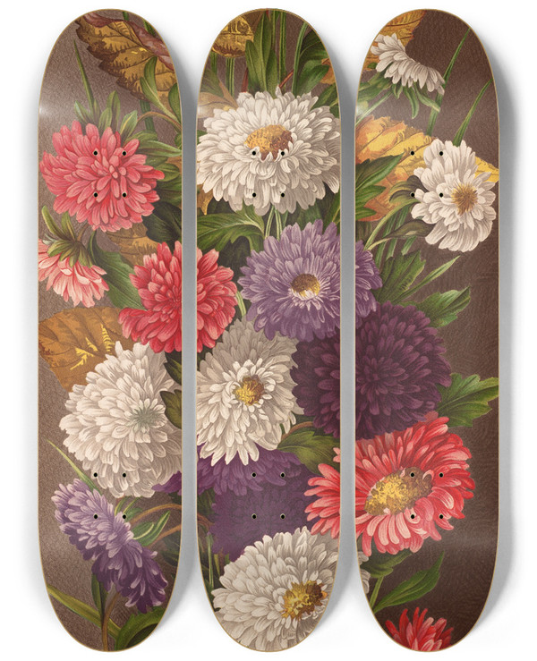Triptych art skateboard deck of Ellen Robbins Asters by Ellen Robbins (1828-1905)