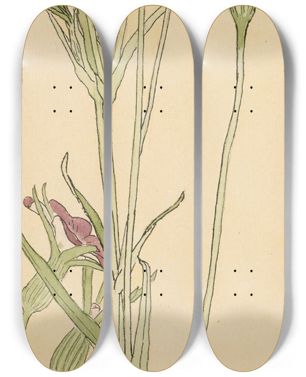 Triptych art skateboard deck of Hannah Borger Overbeck Corn Cockle by Hannah Borger Overbeck (1870-1931)