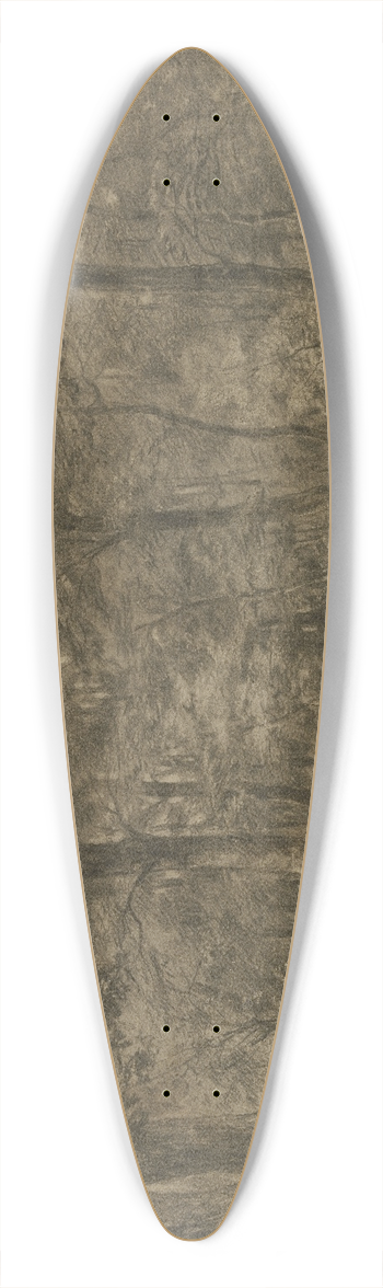 Adolf Hoeffler - Forest path 39.3 inch art pintail longboard deck