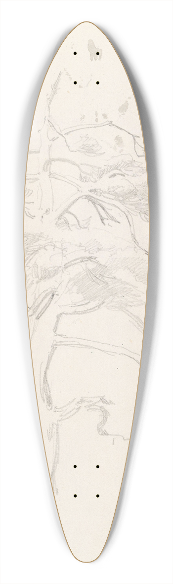 Adolph Tidemand - Furu 39.3 inch art pintail longboard deck
