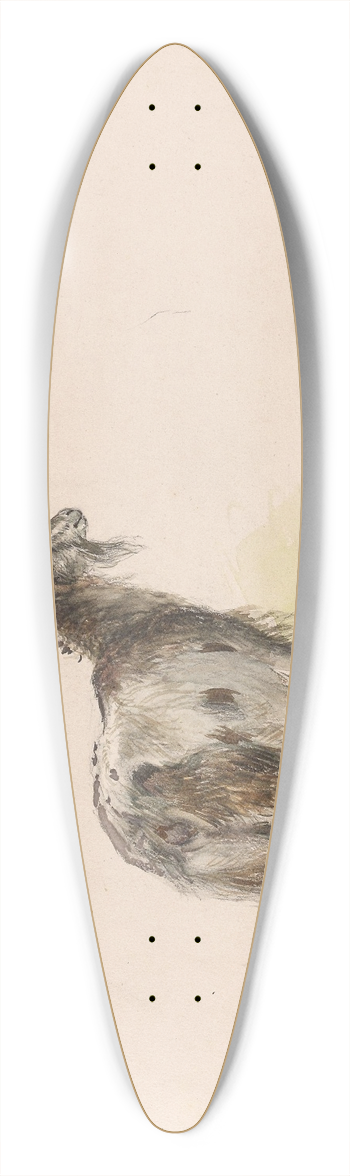 Adolph Tidemand - Geit 39.3 inch art pintail longboard deck