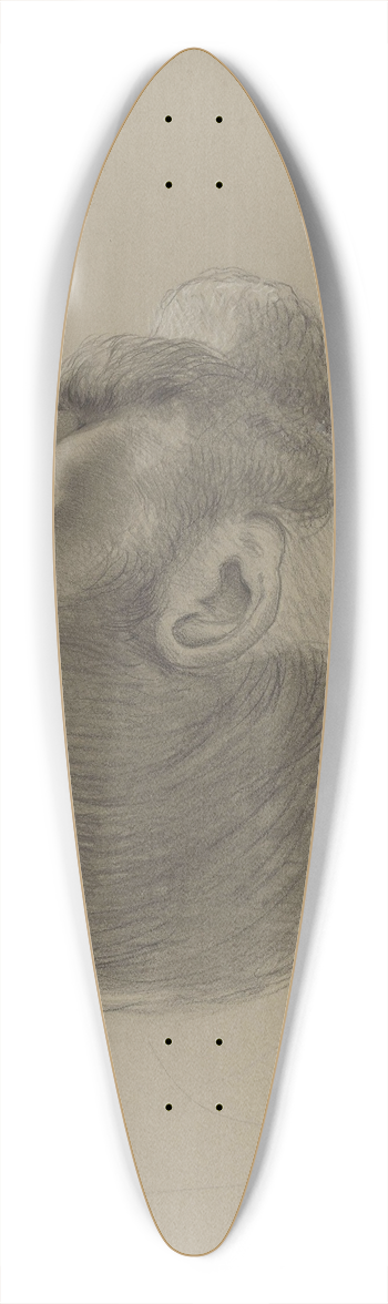 Adolph Tidemand - Mannshode 39.3 inch art pintail longboard deck