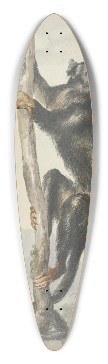 Aert Schouman - A Peruvian Spider Monkey (Ateles chamek), 1759 39.3 inch art pintail longboard deck