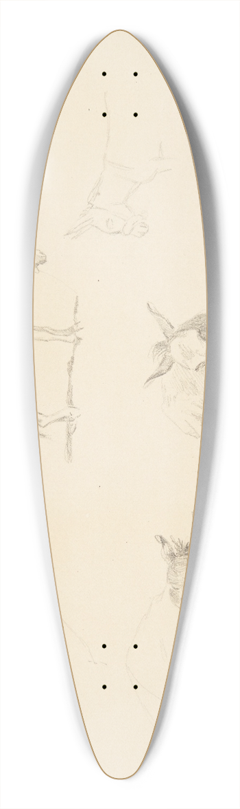 Agnes Lunn - Studieblad med dyr 39.3 inch art pintail longboard deck