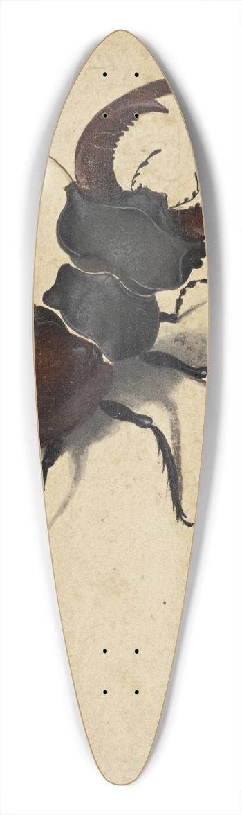 Albrecht Drer - Stag Beetle 39.3 inch art pintail longboard deck