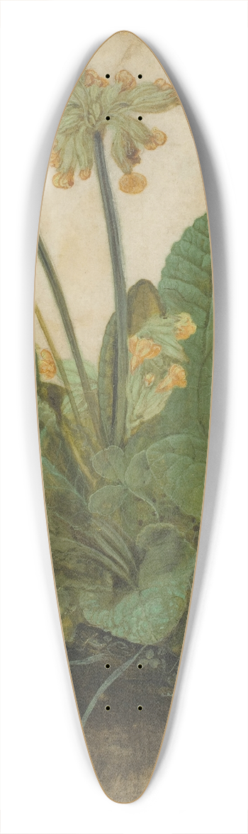 Albrecht Drer - Tuft of Cowslips 39.3 inch art pintail longboard deck