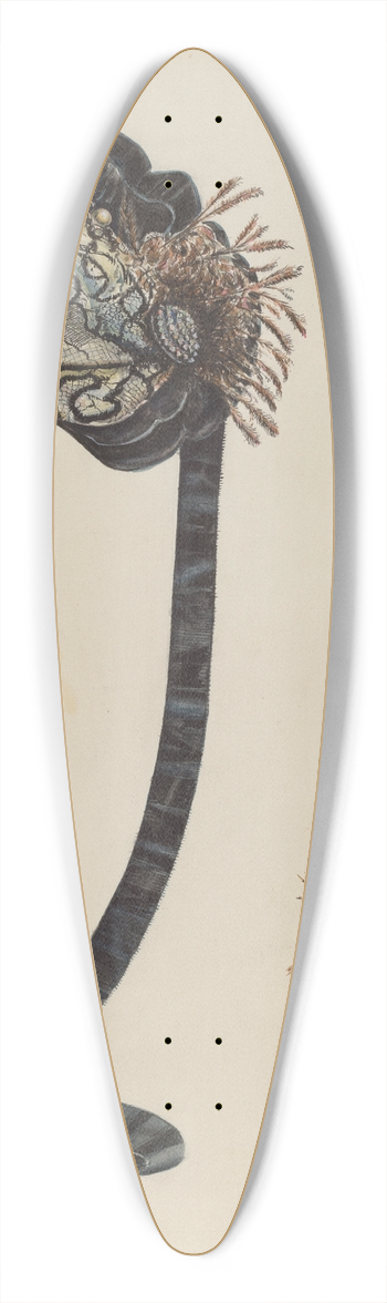 Al Curry - Bonnet 39.3 inch art pintail longboard deck