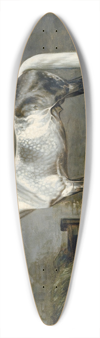 Alexander Dmitrievich Chirkin - Granit 39.3 inch art pintail longboard deck