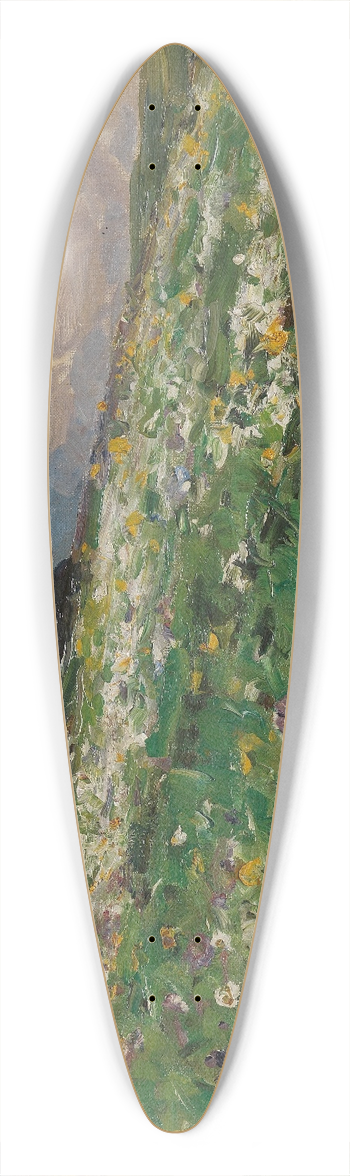 Alexander Koester - Sommerwiese 39.3 inch art pintail longboard deck