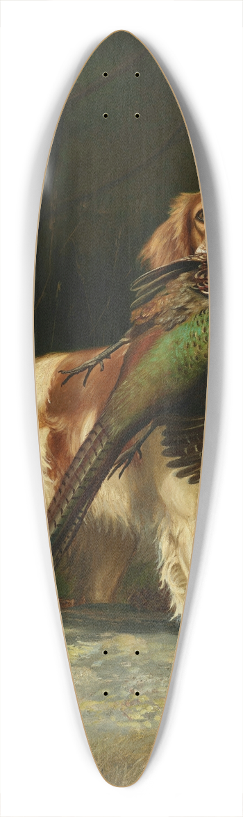 Alexander Pope - Springer Spaniel with Pheasant 39.3 inch art pintail longboard deck
