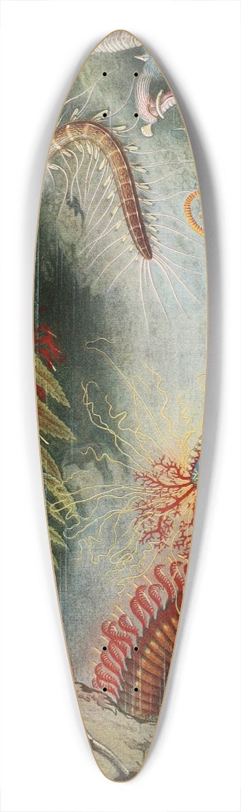 Alfred Frdol - Annlides 39.3 inch art pintail longboard deck