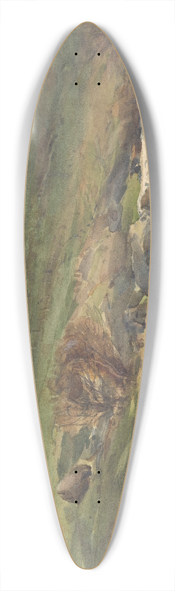 Alfred Walsh - Mountain stream, Kaikoura 39.3 inch art pintail longboard deck
