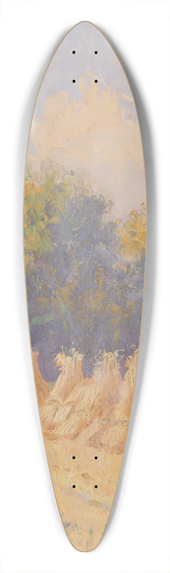 Alois Hernick - Sonniger Sptsommertag 39.3 inch art pintail longboard deck