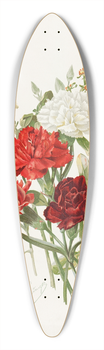 Alois Lunzer - Carnations and Mignonette 39.3 inch art pintail longboard deck