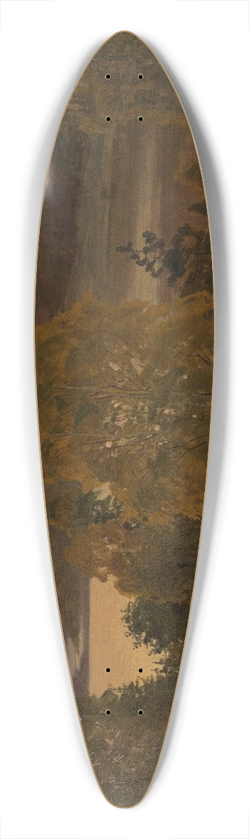 Amaldus Nielsen - Hstaften,Mandal 39.3 inch art pintail longboard deck