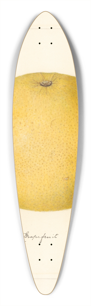 Amanda Almira Newton - Citrus paradisi 39.3 inch art pintail longboard deck